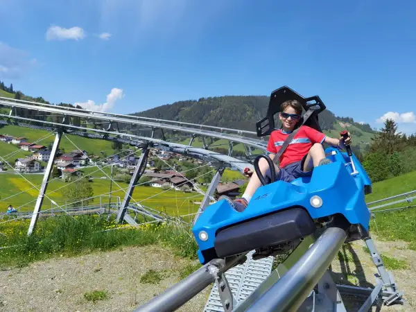 Junge auf einer Sommerrodelbahn in Bayern, genießt die Fahrt mit Blick auf grüne Berge und gelbe Blumen.