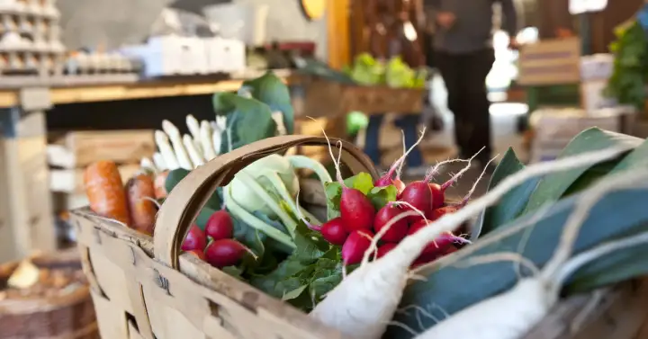 Korb mit frischem Gemüse, darunter Radieschen und Karotten, bereit für die Bamberger Feste.